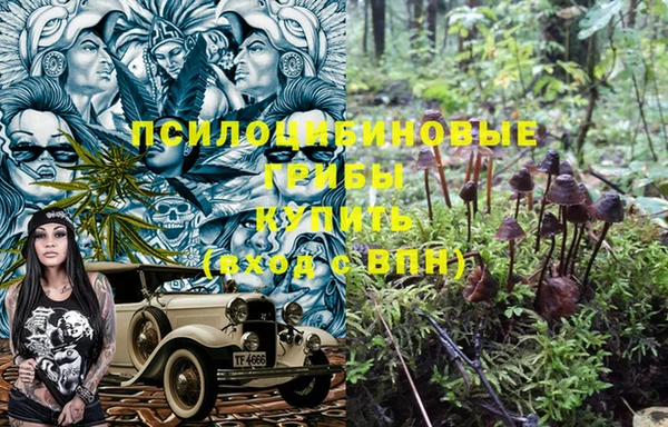 наркотики Абаза