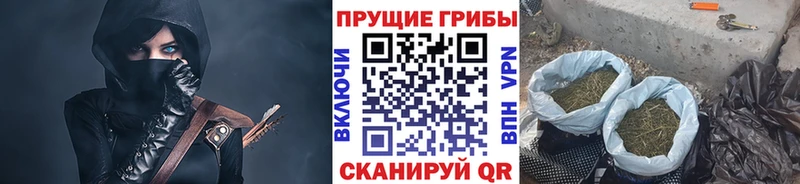 купить Щучье Псилоцибиновые грибы мицелий