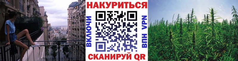 Конопля ГИДРОПОН купить наркоту Щучье